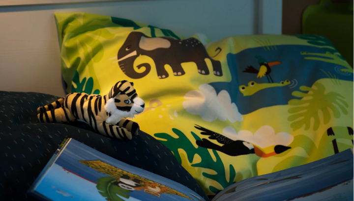 Mix fun and facts in a kids jungle room